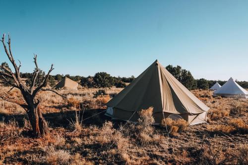 Wander Camp Grand Canyon - photo 15