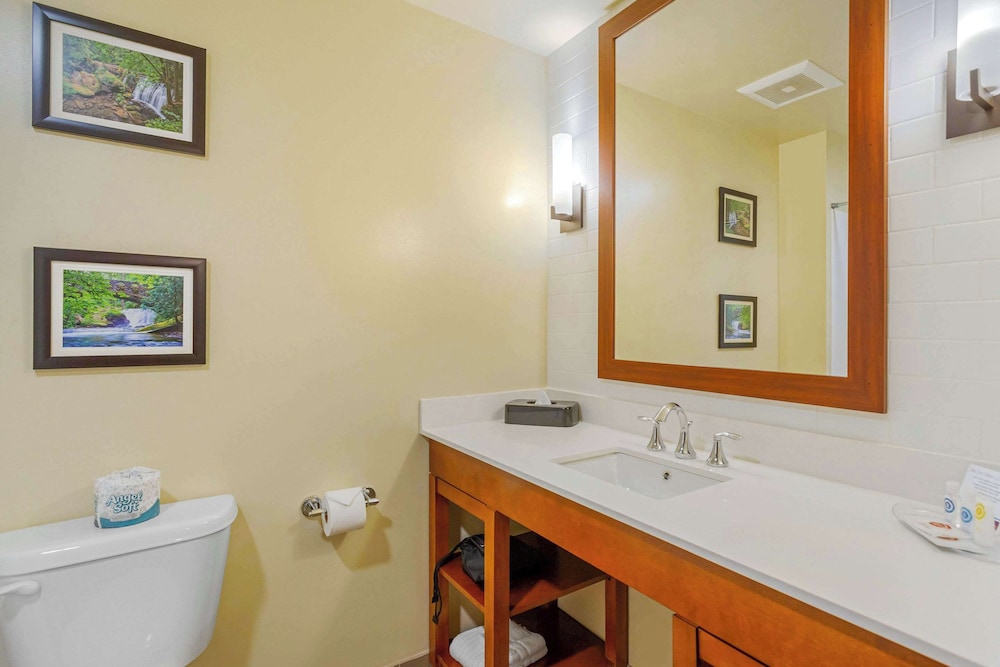 Comfort Suites Burlington near I 5 - photo 26
