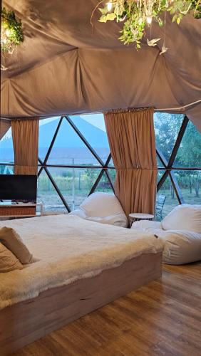 Dacha Club pet-friendly hotel Obukhiv