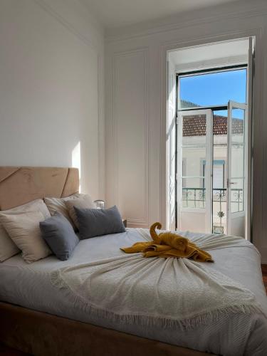 Garden Campo de Ourique Guest House Hostel