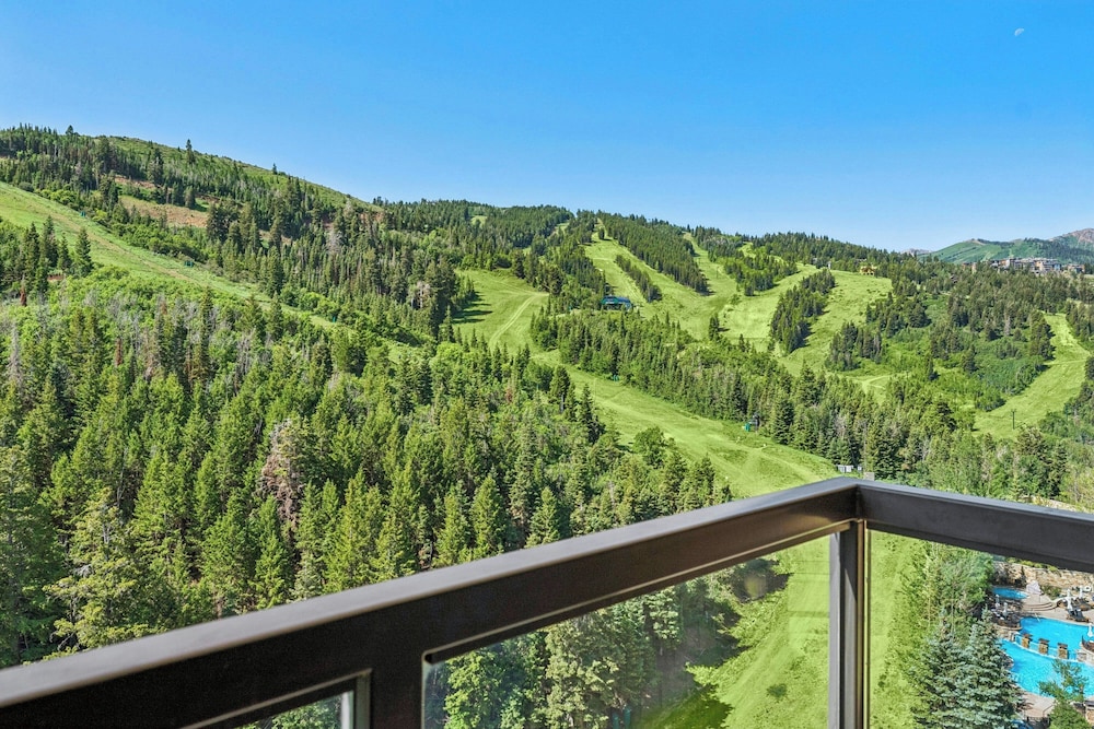The St. Regis Deer Valley - photo 97