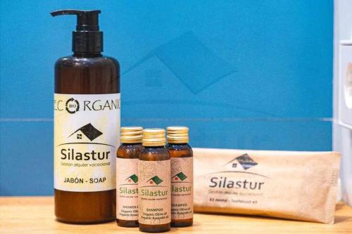 Terraza de Corrida in Gijon, Spain