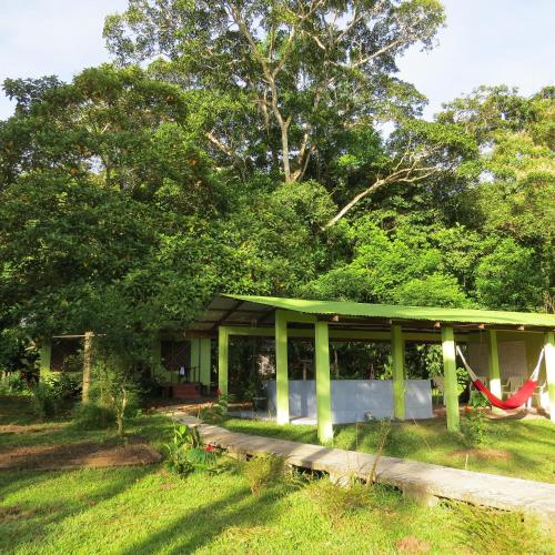 Toucan and Tarpon in Cariari, Costa Rica
