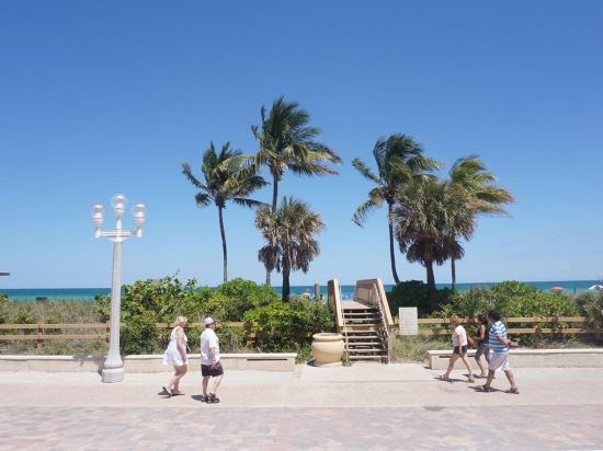 Hollywood Beach Resort Cruise Port Hotel - photo 9