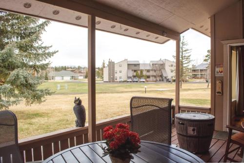 145 Davis Cup #4048 in Pagosa Springs, United States