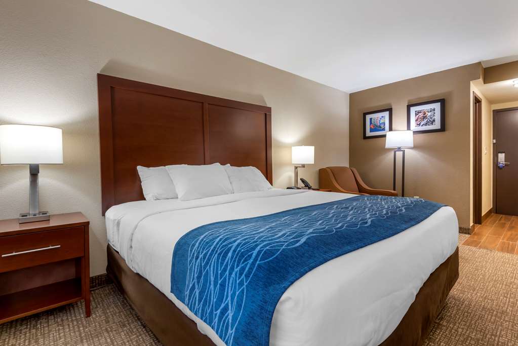 Comfort Inn Binghamton I 81 - photo 12