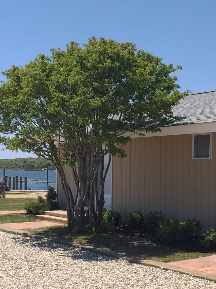 Montauk Bungalows - photo 25