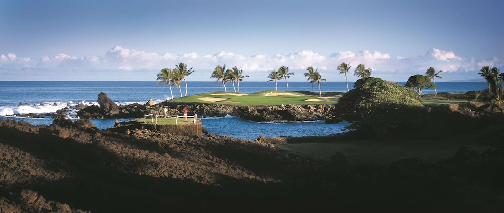 Fairmont Orchid - photo 89