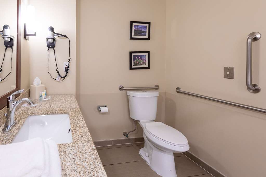 Comfort Suites Denver near Anschutz Medical Campus - photo 29
