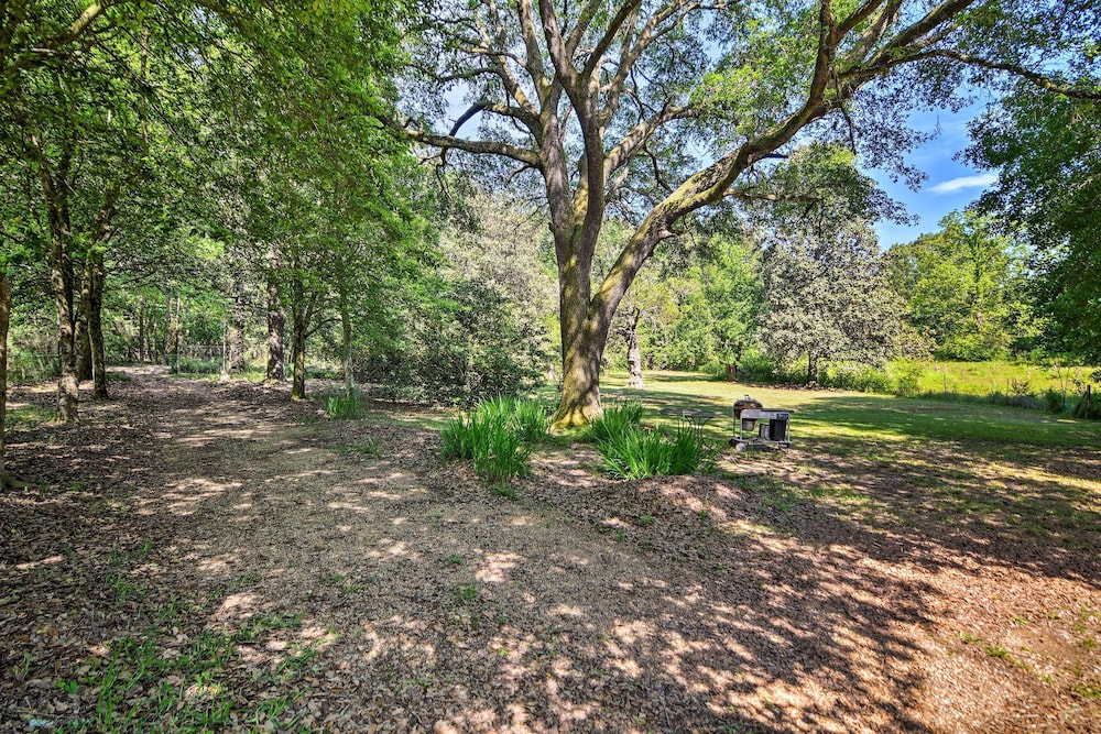 Secluded Baton Rouge Area Hideaway with Lawn in Clinton, United States