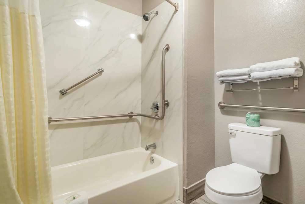 Quality Inn Simpsonville Greenville - photo 4
