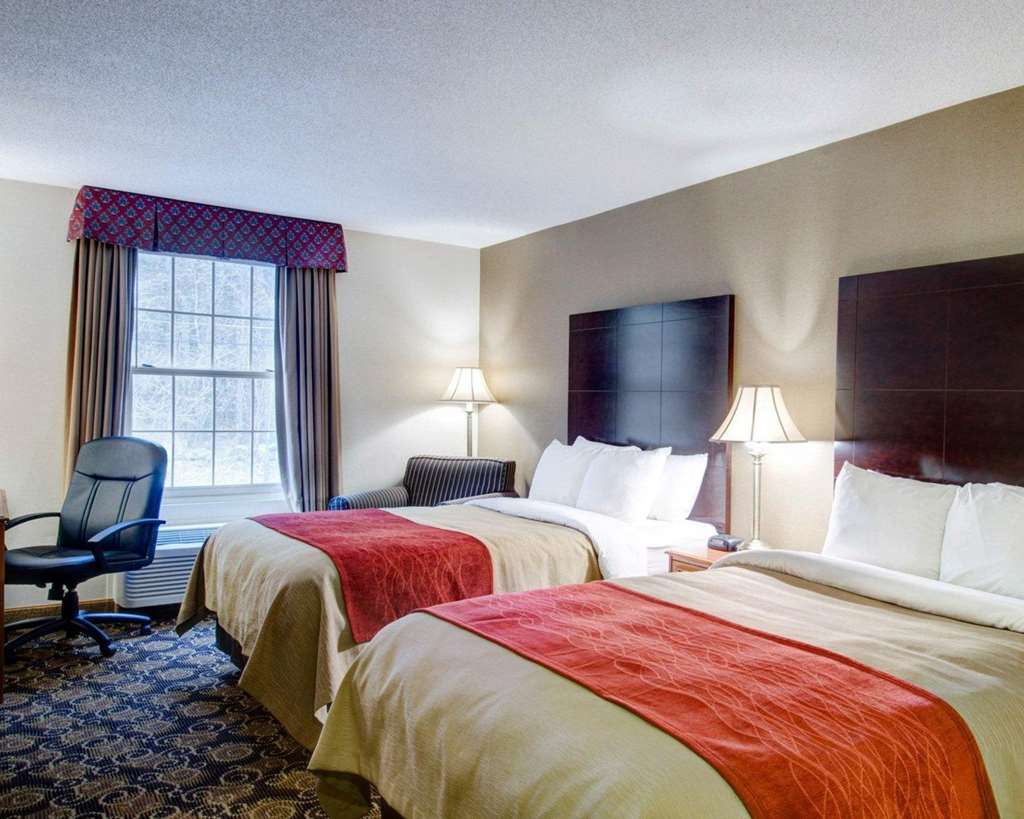 Comfort Inn Foxboro Mansfield - photo 7