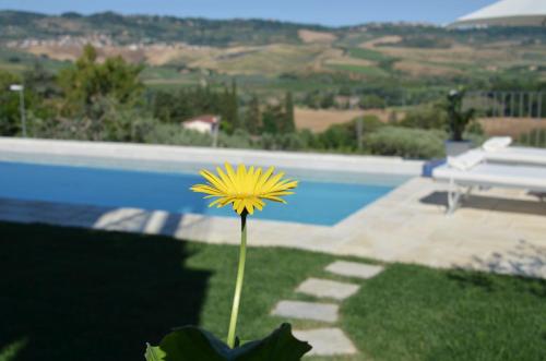 Casa Magnolia — 4-Star Luxury Hotel in Terricciola, Italy