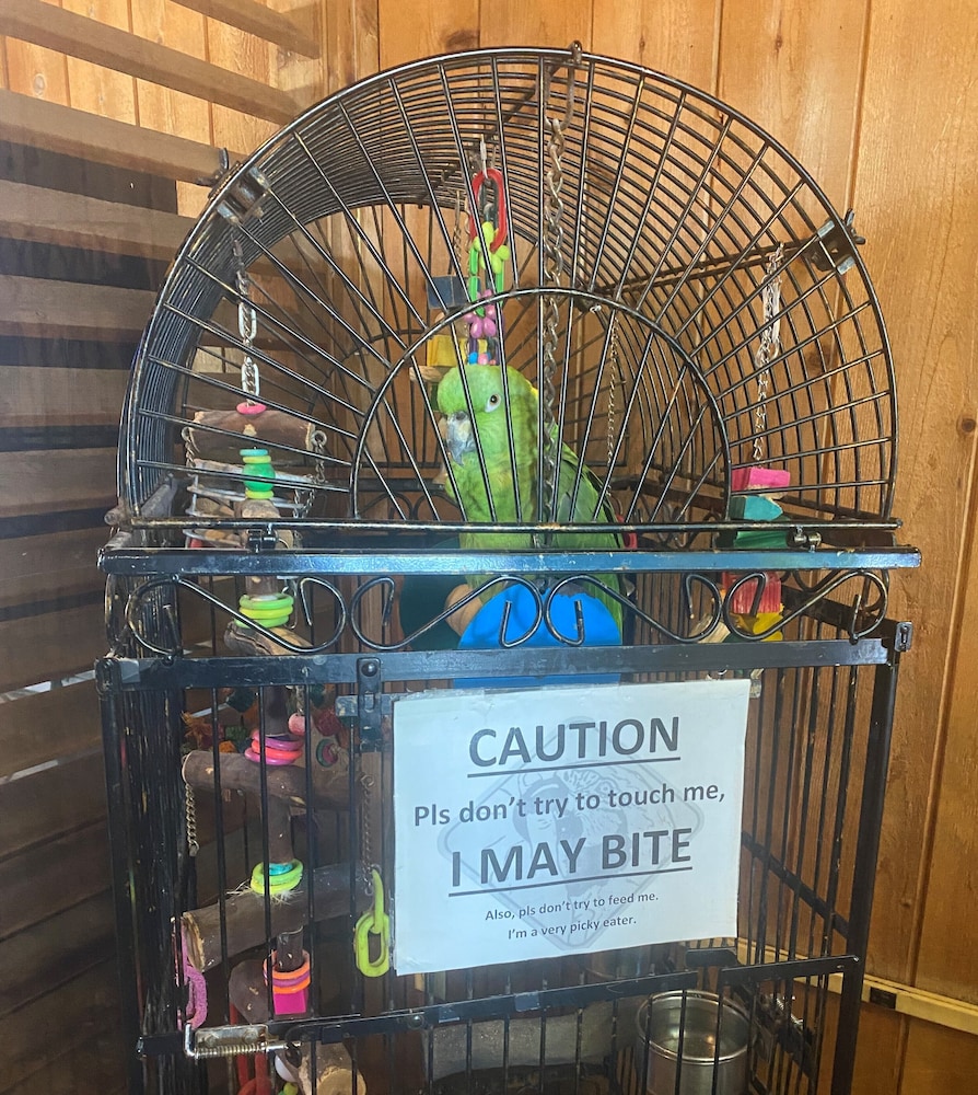 Village Inn Destin - photo 3