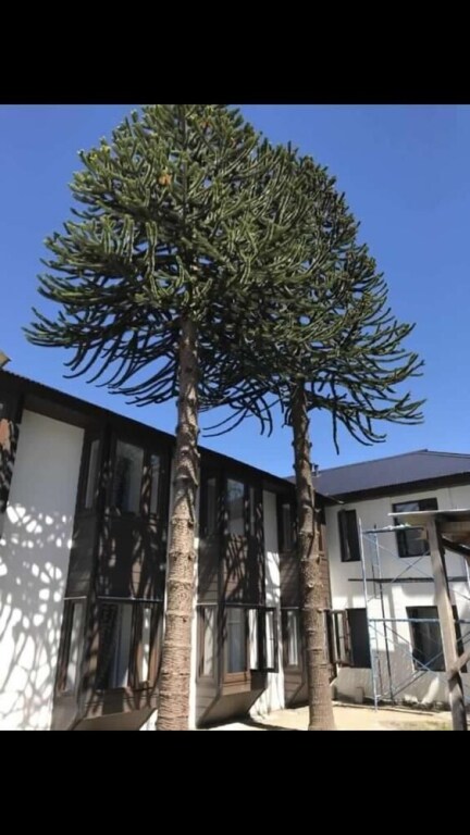 Hotel Aysen Austral in Puerto Aysen, Chile