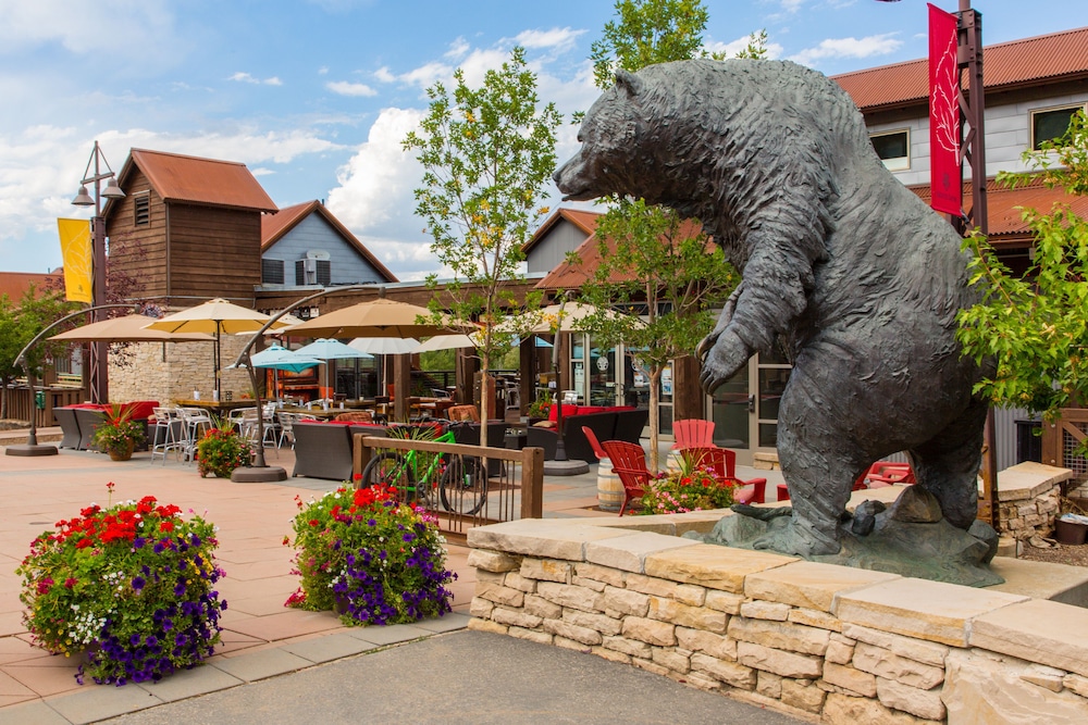 Abode at Silver Star - photo 33