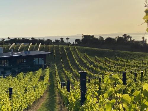 La Bodega Waiheke Island — Auckland
