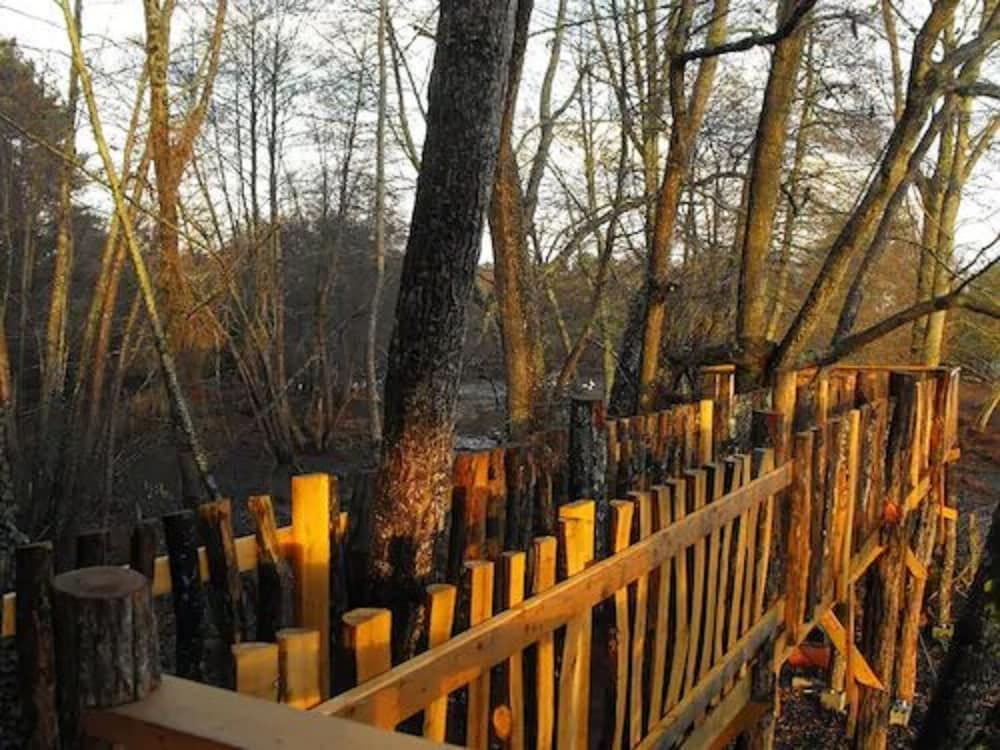 Cabane des cerfs — Ruffiac — photo 5