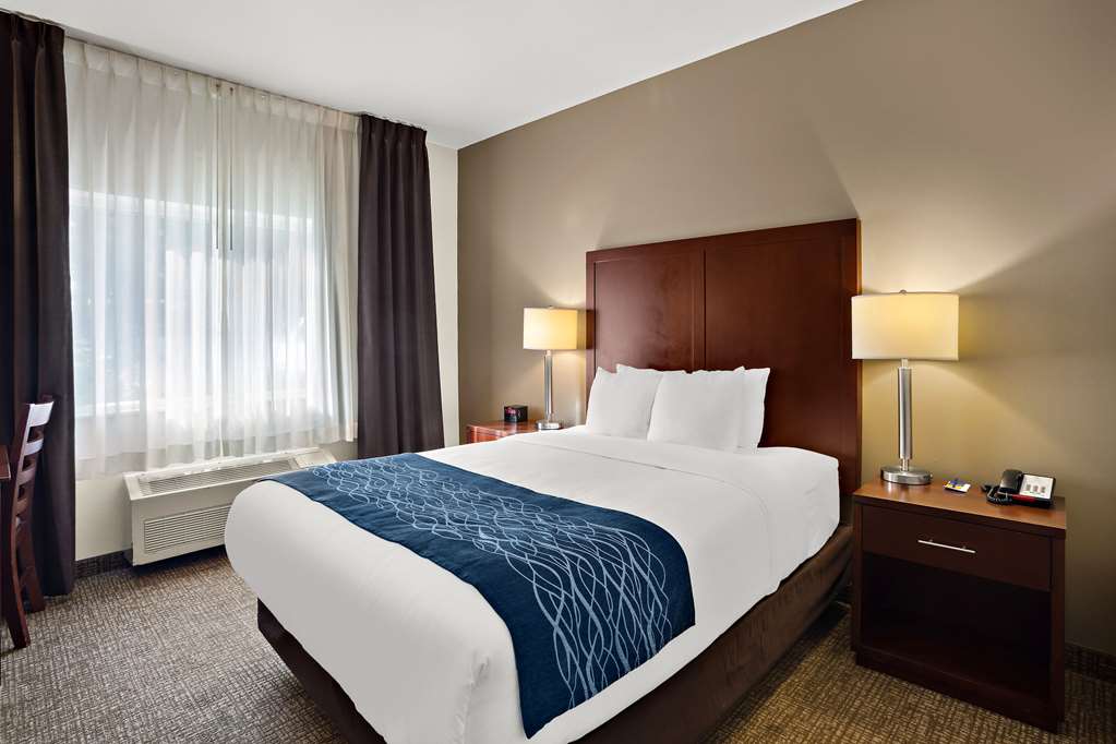 Comfort Inn Lacey Olympia - photo 11
