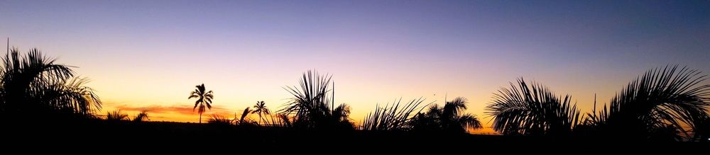 Scenic Hotel Tonga — Nuku'alofa — photo 3