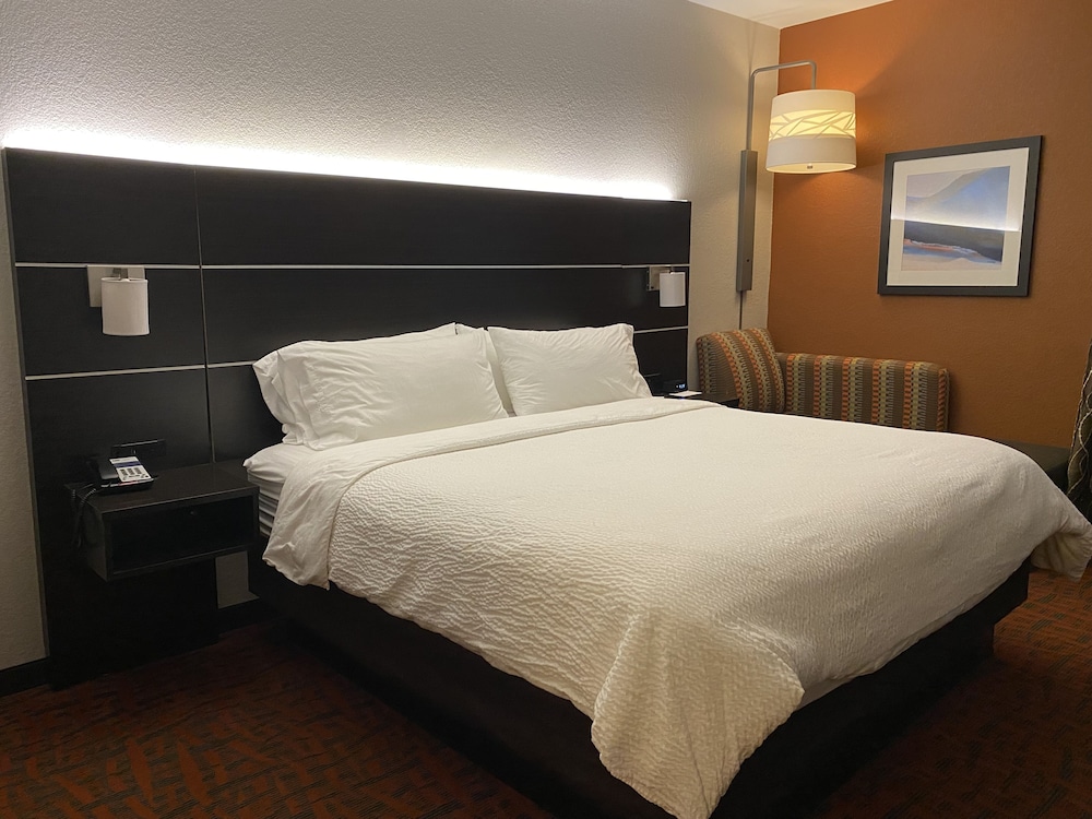 Holiday Inn Express Metropolis - photo 20