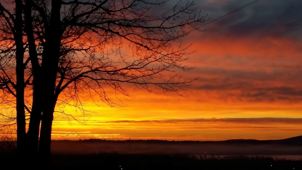 Acadia Sunrise Motel - photo 21