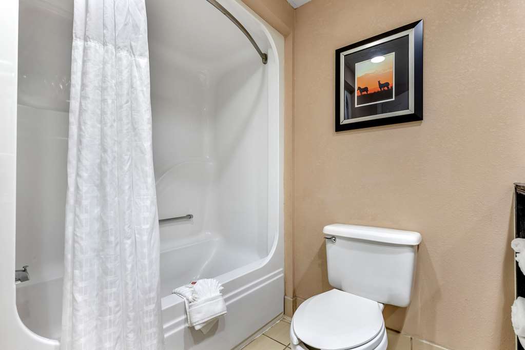 Comfort Inn & Suites Asheboro East - photo 8