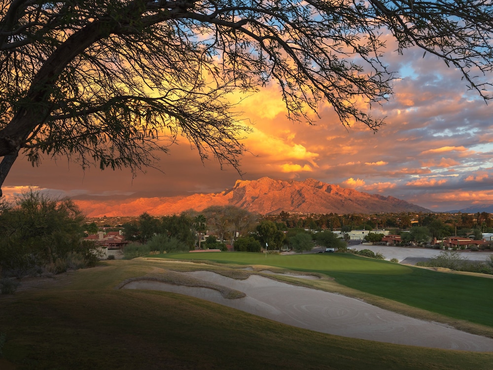 Omni Tucson National Resort & Spa - photo 54