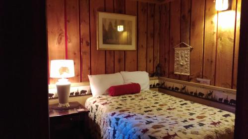 Alpine Motel - photo 27