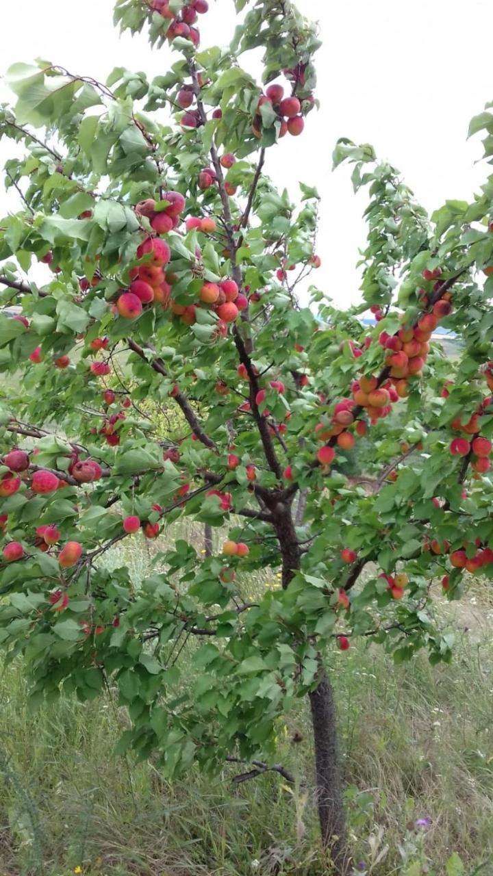 Sunset Expanse in Turda, Romania