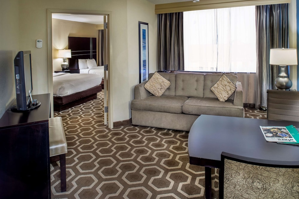 Embassy Suites by Hilton St. Louis Airport - photo 18