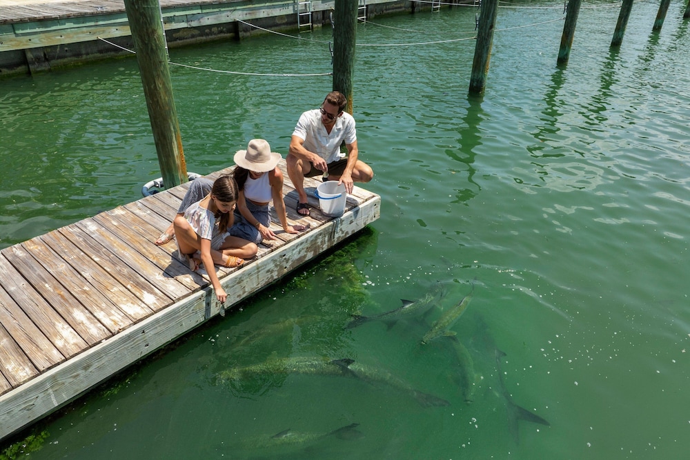 Three Waters Resort And Marina Islamorada - photo 144