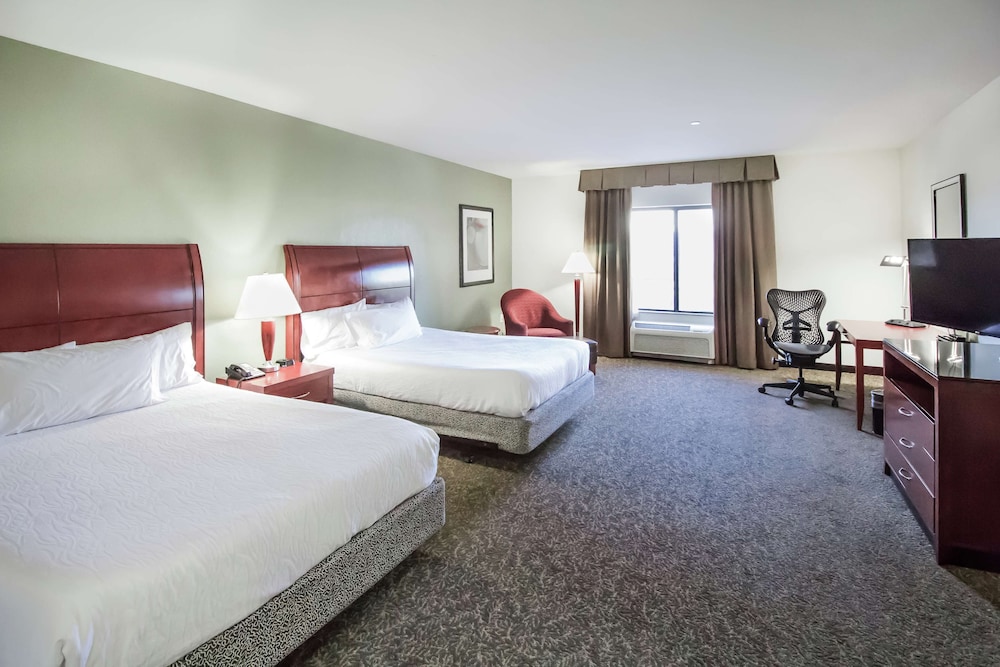 Hilton Garden Inn Avondale - photo 18