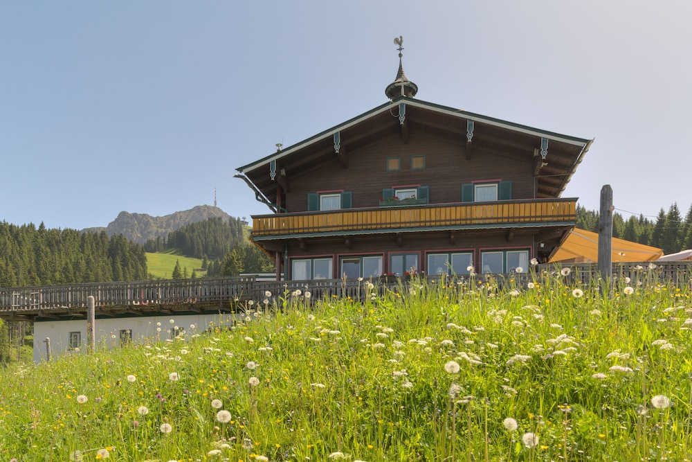 Angerer Alm in Sankt Johann In Tirol, Austria
