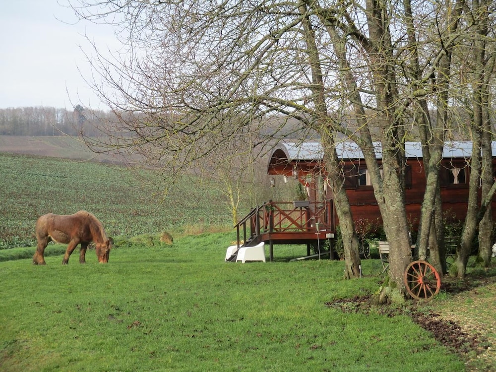 Domaine du Moulin de l’Etang — Chatillon-Sur-Marne — photo 2