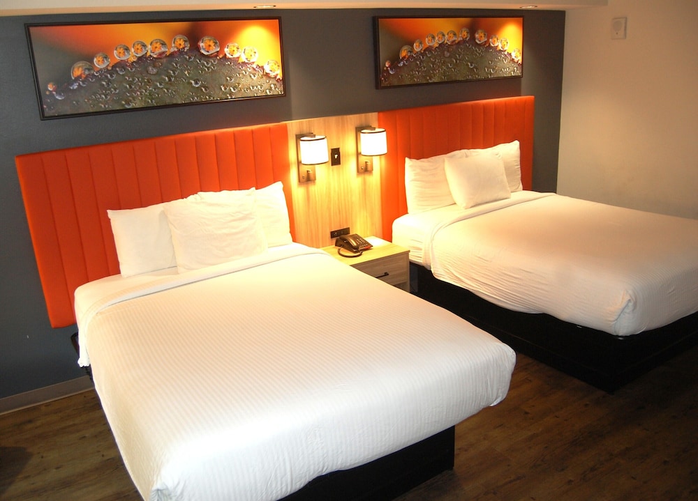 Vacation Lodge - photo 13
