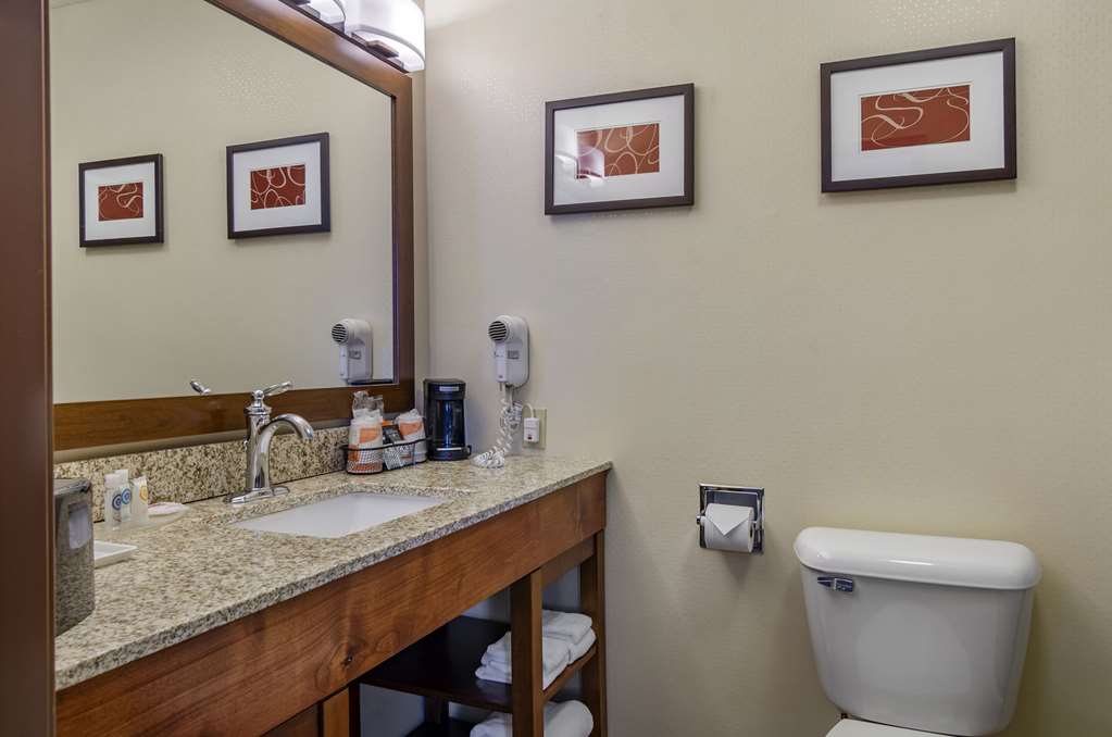 Comfort Inn Bozeman near University - photo 18