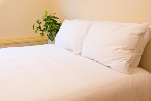 Annarthur Guest House — 4-Star Luxury Hotel in Nanaimo, Canada