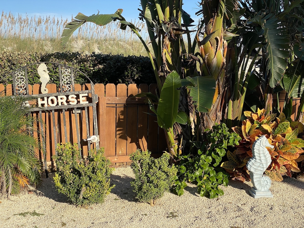 Seahorse Oceanfront Inn - photo 114