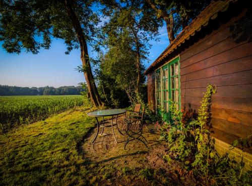 Doevelsteeg Ommen — Ommen — photo 3