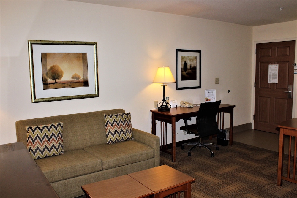 Staybridge Suites Houston Willowbrook by IHG - photo 13