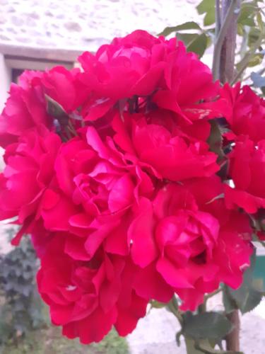 Gite Pres De Giverny — Gasny