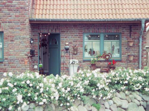 Ferienhaus Wattenhus — 4-Star Luxury Hotel in Busum, Germany