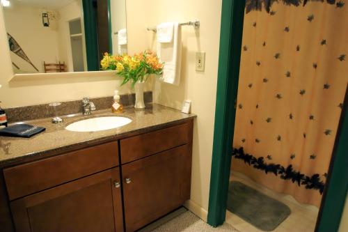 Weathertop Mountain Inn - photo 6