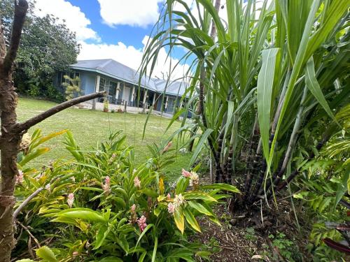 Anas place Siusega in Unknown City, Samoa