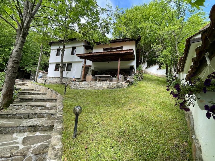 Forest Hill in Troyan, Bulgaria