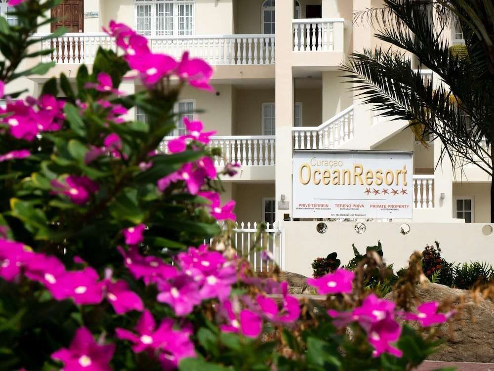 Ocean Resort Condo — Willemstad — photo 2