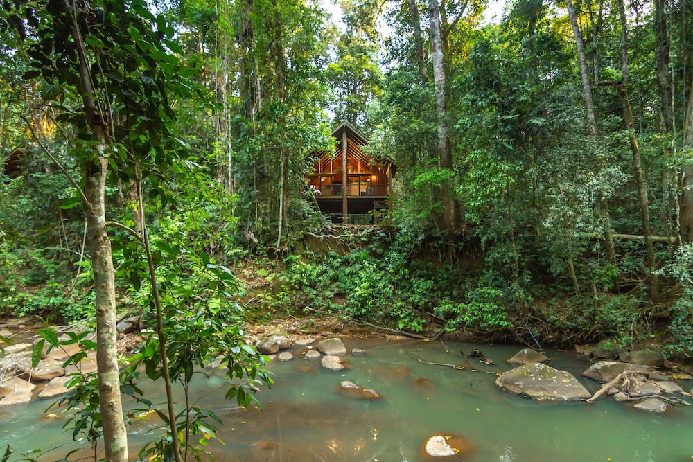 The Canopy Rainforest Treehouses Wildlife Sanctuary — Atherton