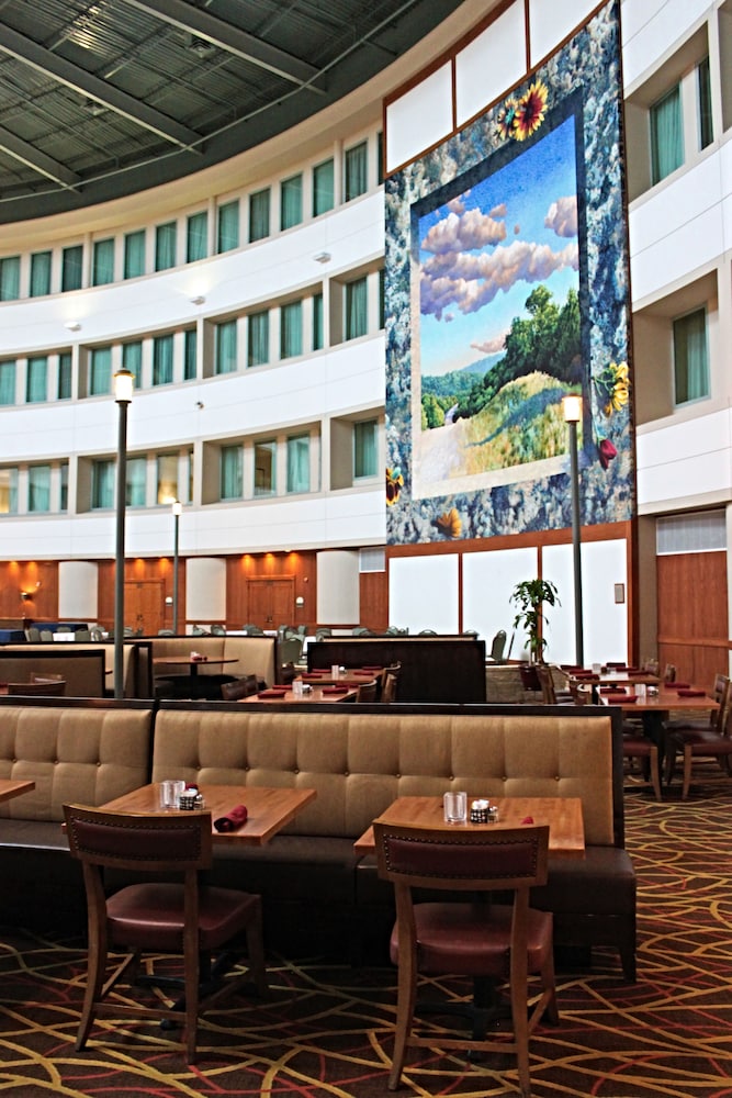 Hilton Austin Airport - photo 41
