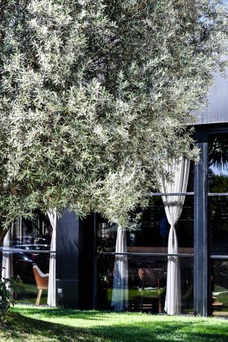 Havana Hotel in Shkoder, Albania